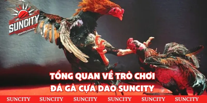 Tổng quan về trò chơi đá gà cựa dao Suncity 