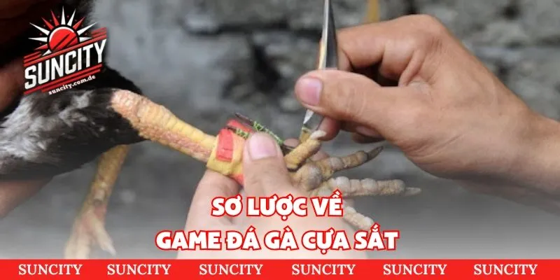 Sơ lược về game đá gà cựa sắt 