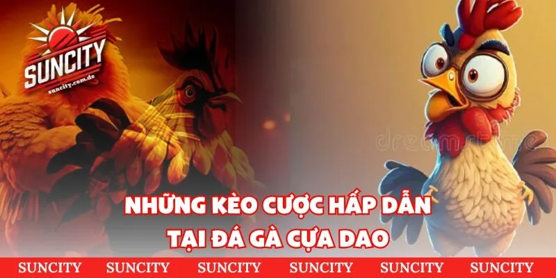 Tổng hợp hình thức cược đá gà Thomo phổ biến nhất 