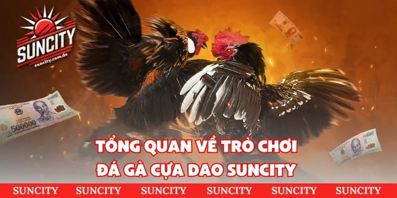 Sơ lược những thông tin cơ bản về đá gà Thomo 