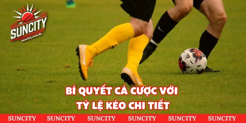 Bí quyết cá cược với tỷ lệ kèo chi tiết